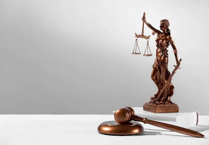 Судебное представительство